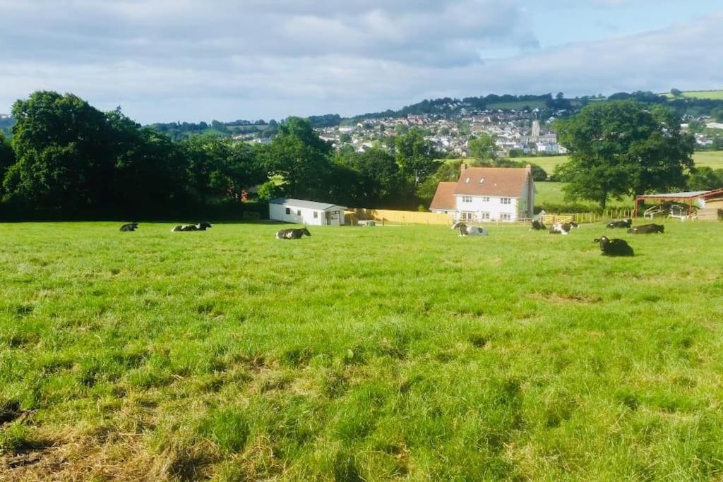 Apartment Park Gate House Farm Holidays, Colyton-'elizabeth